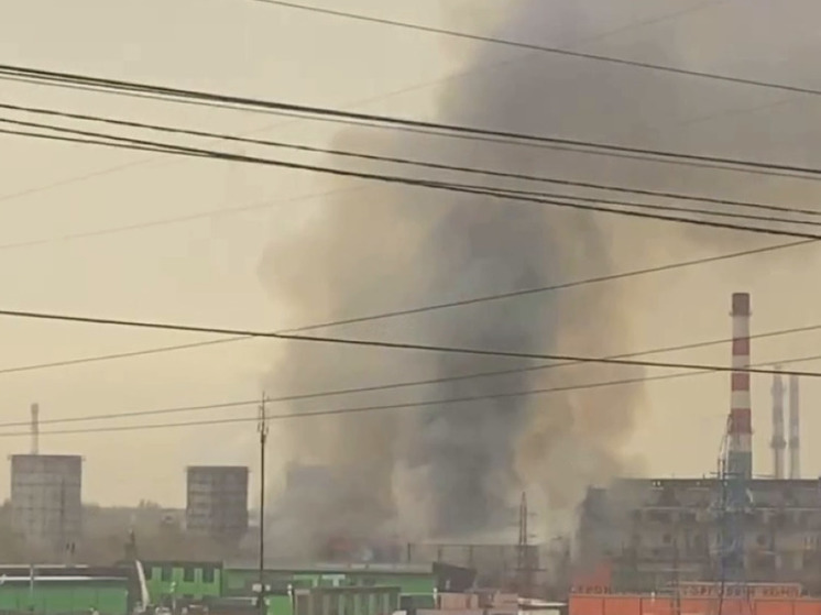 В Ленинском загорелась свалка в районе Каширского шоссе