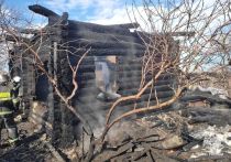 По данным регионального управления МЧС, рано утром 18 апреля в селе Рыбалово Кривошеинского района загорелся 1-этажный бревенчатый жилой дом и надворные постройки