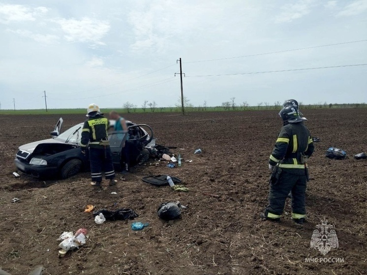 На трассе в Запорожской области произошло смертельное ДТП