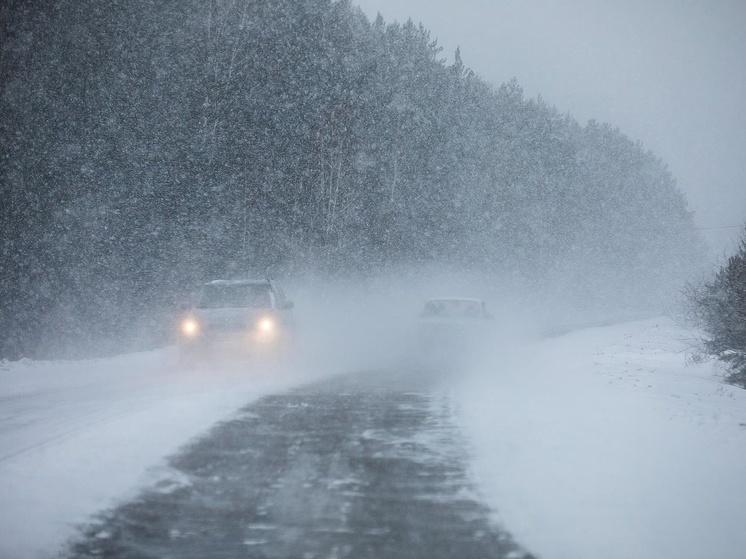 Госавтоинспекция Карелии просит водителей воздержаться от выездов из-за погоды