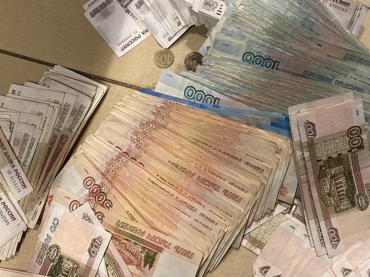 У петербурженки украли 7,6 млн рублей из тайника под раковиной