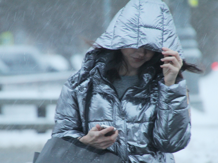 МЧС сообщило о резком ухудшении погоды в Москве 18 апреля