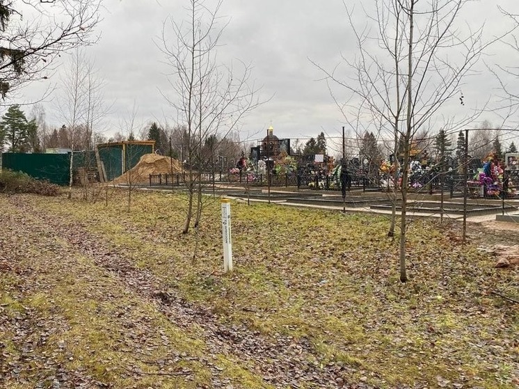 Котласский округ обязали внести землю под кладбищем в кадастр