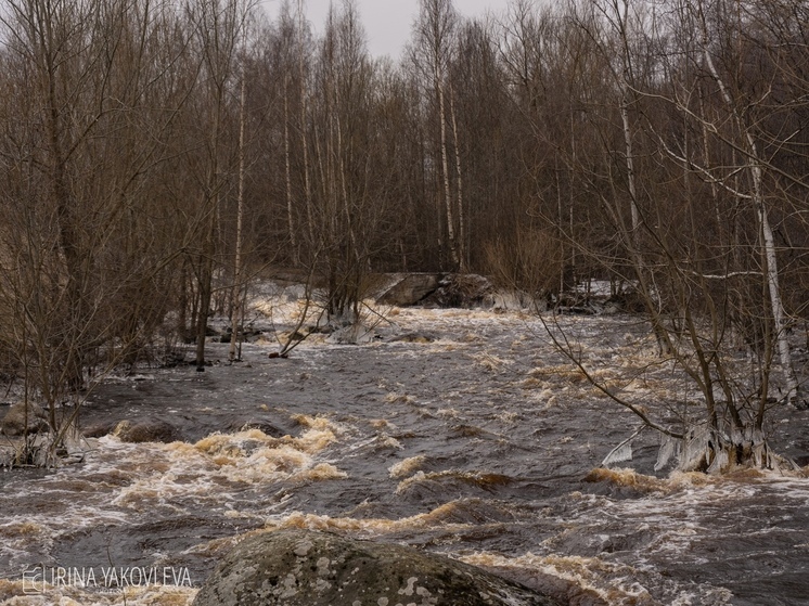 Опасные явления прогнозируются на трех реках Карелии