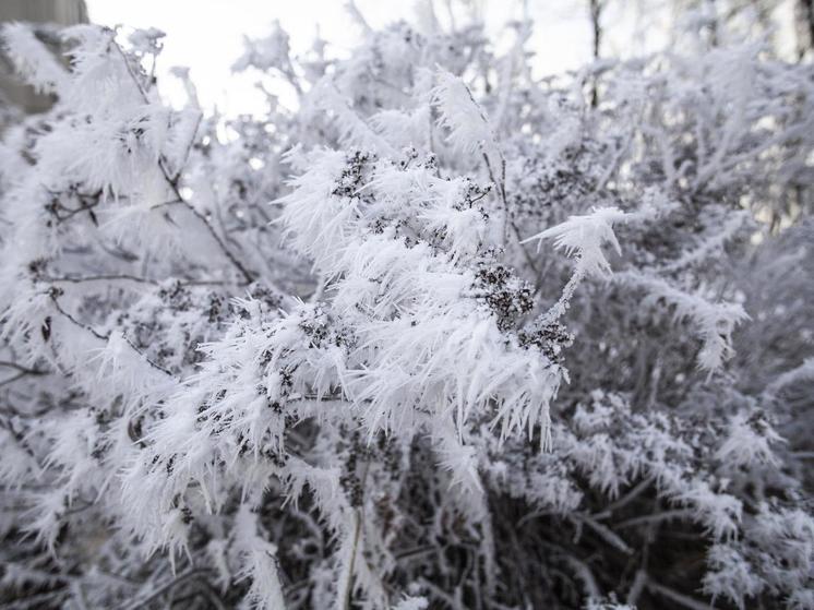 Синоптики Карелии рассылают по районам предупреждение о сильном снеге и метели