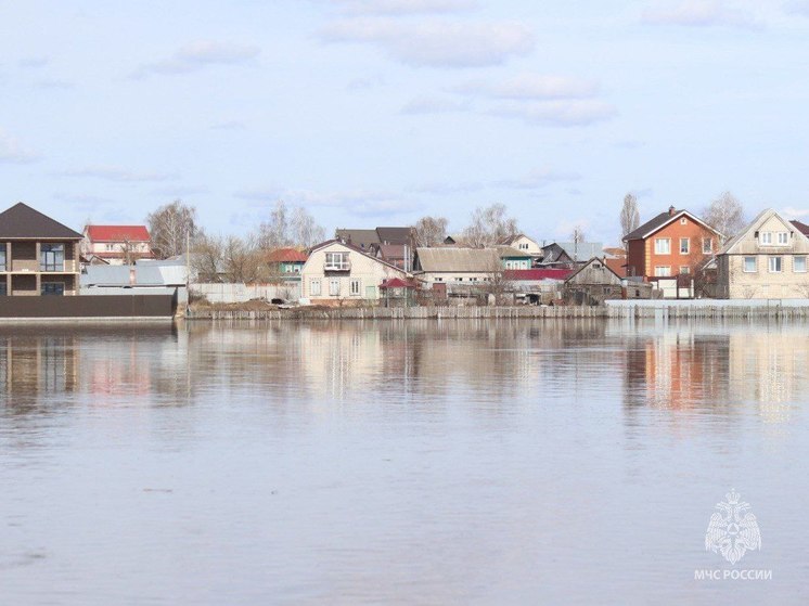 В Рязанской области освободились от воды 19 приусадебных участков