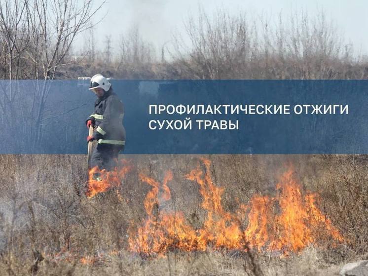 Продолжаются контролируемые отжиги сухой травы в Иркутске