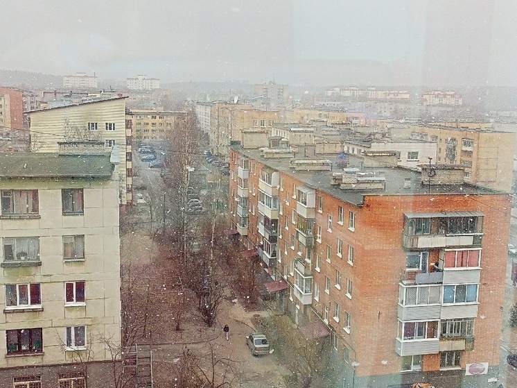 Предвестники метели: крупный снег пошел в Петрозаводске