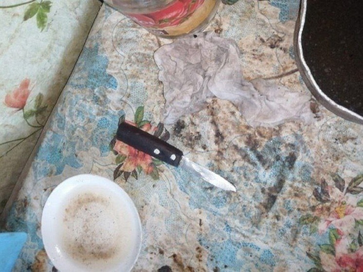 Жителя Лёвихи признали виновным за нападение с ножом на помощников по хозяйству