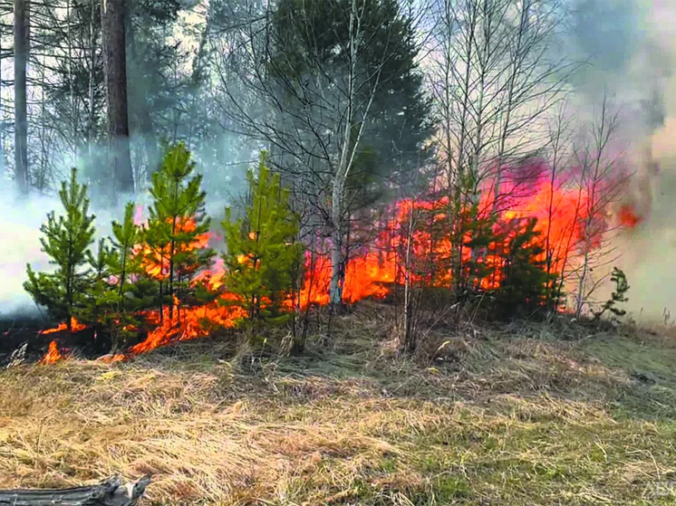 Кировский губернатор объявил о начале пожароопасного периода