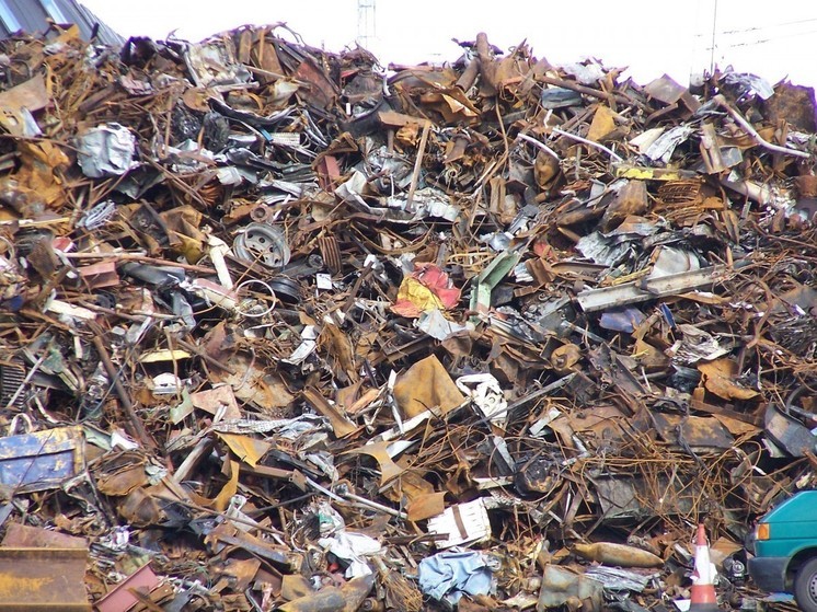 «Золотые горы»: мусорный полигон «Новый Свет — ЭКО» в Гатчинском районе Ленобласти наращивает прибыль