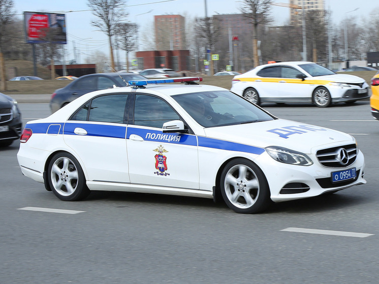 В Москве задержали отца и брата подозреваемого по делу об убийстве из-за парковки в столице