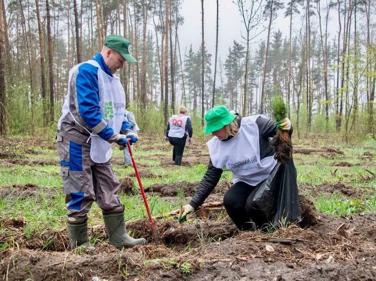 Сотрудники Курской АЭС высадили три тысячи деревьев в рамках акции «Сад памяти»