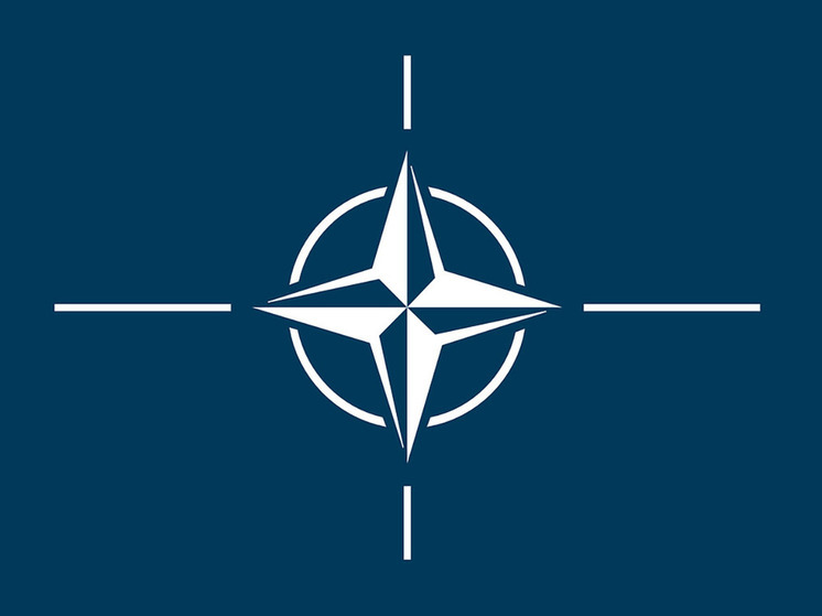 Аргентина решила стать глобальным партнером НАТО