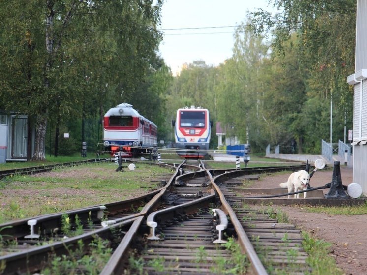 Ретропоезд отвезет петербуржцев на велозаезд в Гатчину 21 апреля