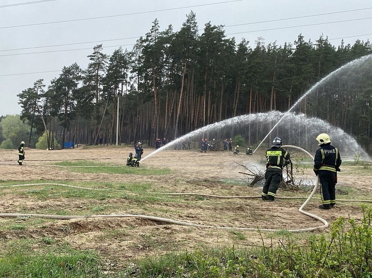 В Курске провели тренировку по тушению природных пожаров