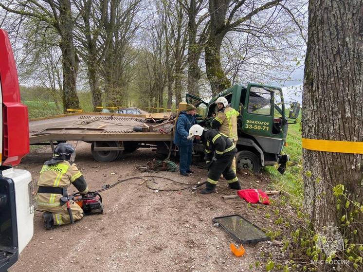 В Калининградской области эвакуатор врезался в дерево