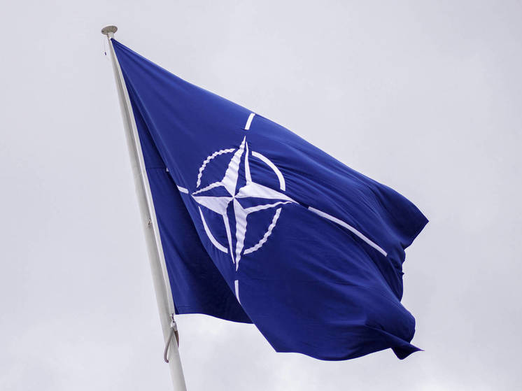 Замгенсека Джоанэ: НАТО "очень позитивно" смотрит на заявку Аргентины в Альянс
