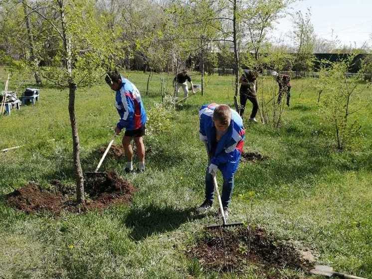 В Советском районе Астрахани прошли акции по озеленению