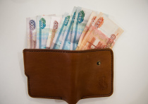 Общий ущерб для федерального бюджета превысил 8,7 млн. рублей. 