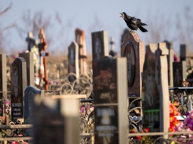 Кладбища Белгородской области проверят на наличие взрывоопасных предметов