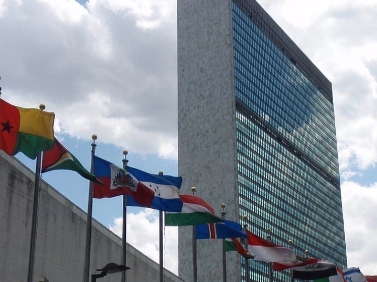 РИА Новости: США наложили вето на принятие Палестины в состав ООН