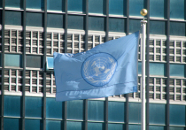 Делегации арабских стран покинули зал Совета безопасности ООН во время выступления постпреда Израиля Гилада Эрдана