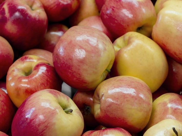 В Красноярск из Китая привезли 19 тонн зараженных яблок