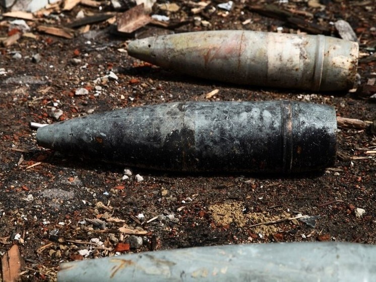 Под Воронежем уничтожили 2 мины, 2 гранаты и 5 артиллерийских снарядов