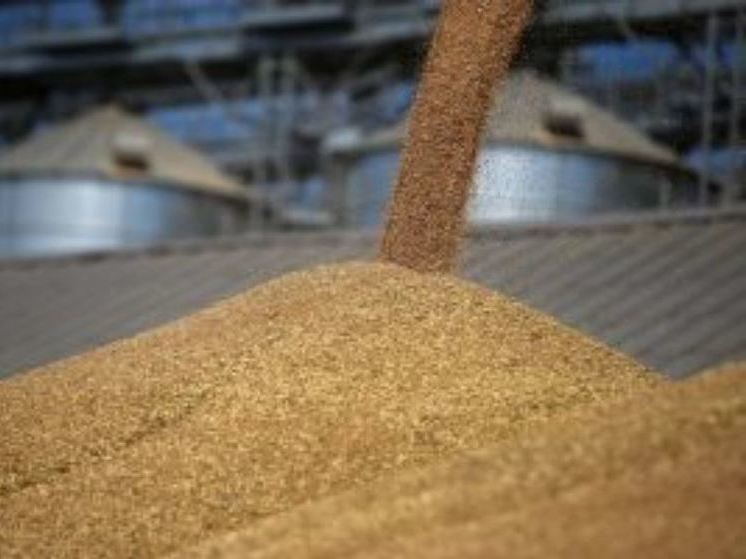 Из Орловской области в другие регионы стали доставлять на 13% больше зерна