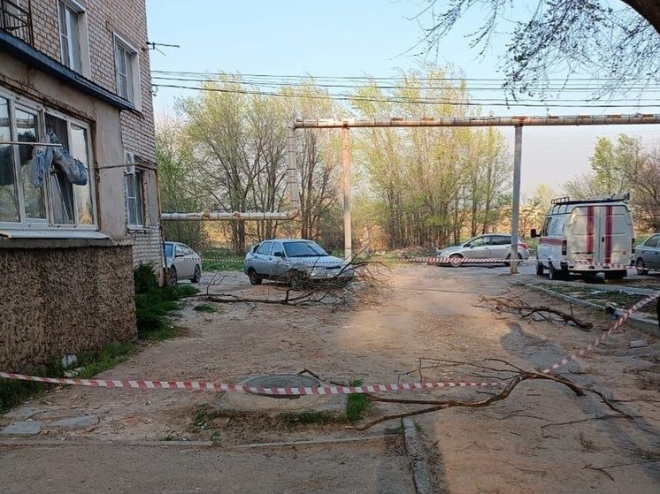 Сильный ветер повалил деревья в Астрахани и оборвал провода