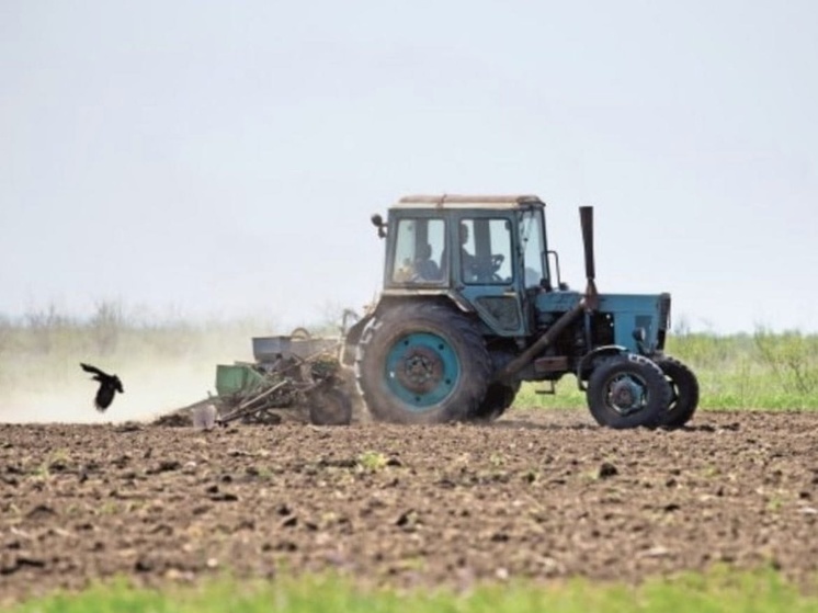 Владимирские аграрии засеяли 730 гектаров зерна