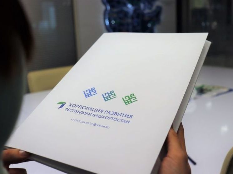Корпорация развития Башкирии взяла на сопровождение проекты на 17 млрд рублей