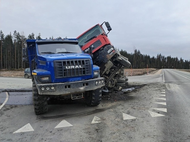 ГИБДД назвала причину аварии с двумя грузовиками в Карелии