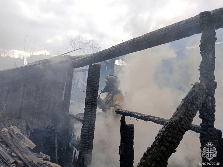 Детские шалости с огнем привели к пожару в Соколе
