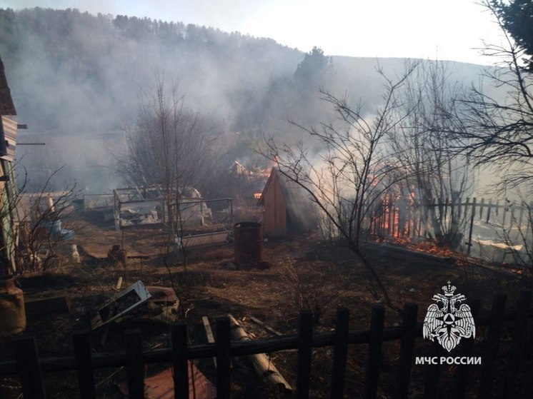 В Красноярском крае произошло 60 пожаров сухой травы с начала весны