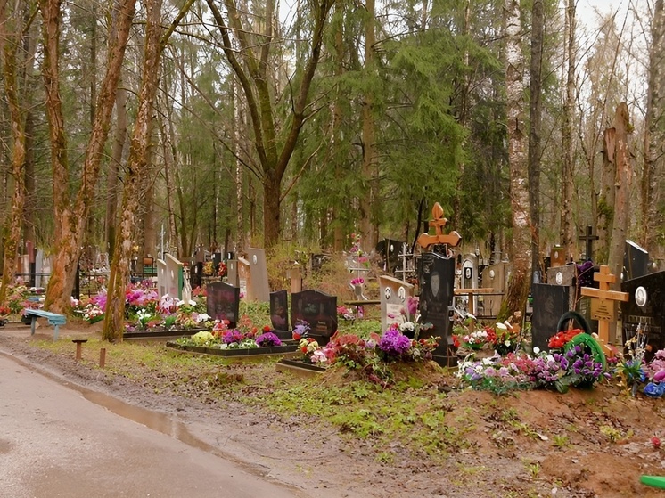 В преддверие Пасхи в г.о.Серпухов проверили состояние кладбищ