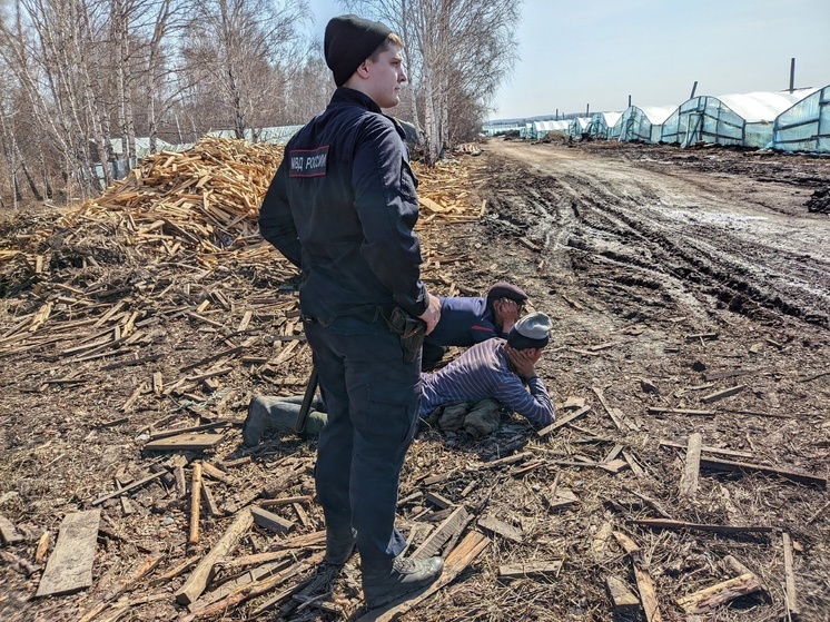 Двух мигрантов лишили гражданства из-за преступлений в Красноярском крае