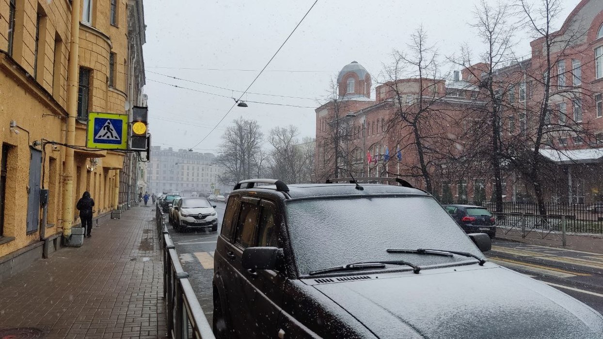 В Петербурге начался снегопад