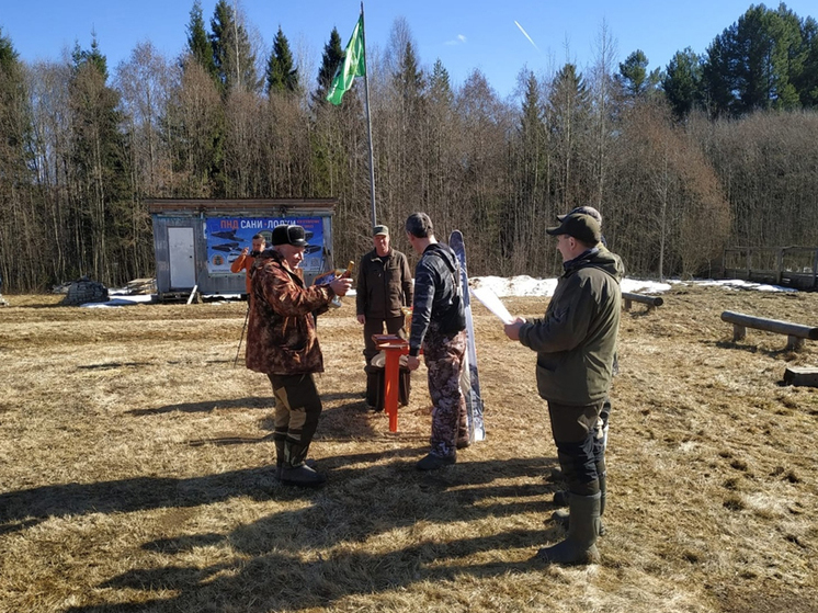 В Кирове прошли состязания лаек по подсадному медведю
