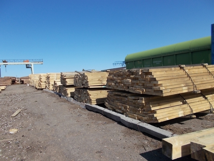 Таможенники выявили контрабанду леса на 13 млн рублей в Забайкалье