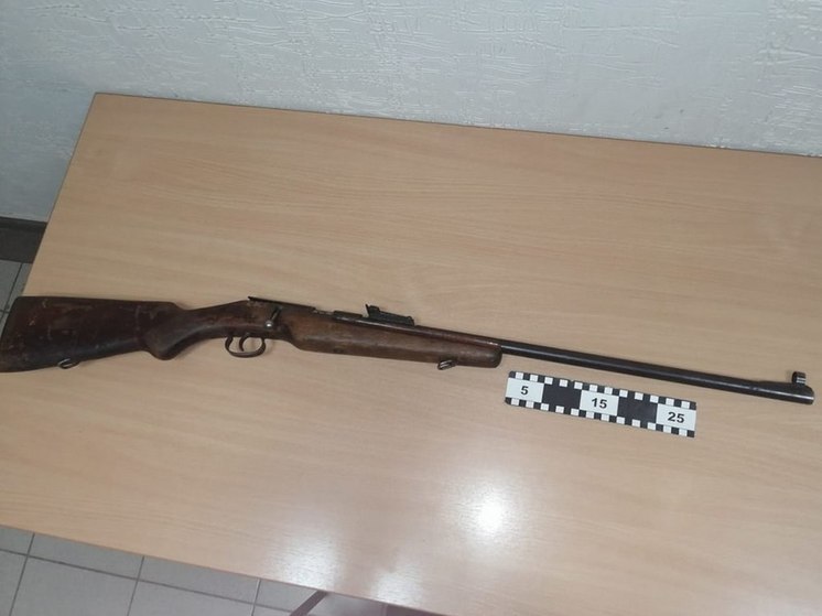 Мужчина в Гагаринском районе незаконно хранил ружье и патроны