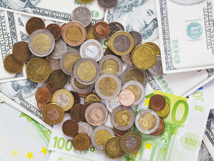 Социологи рассказали, сколько жителей Петрозаводска следят за курсом валют