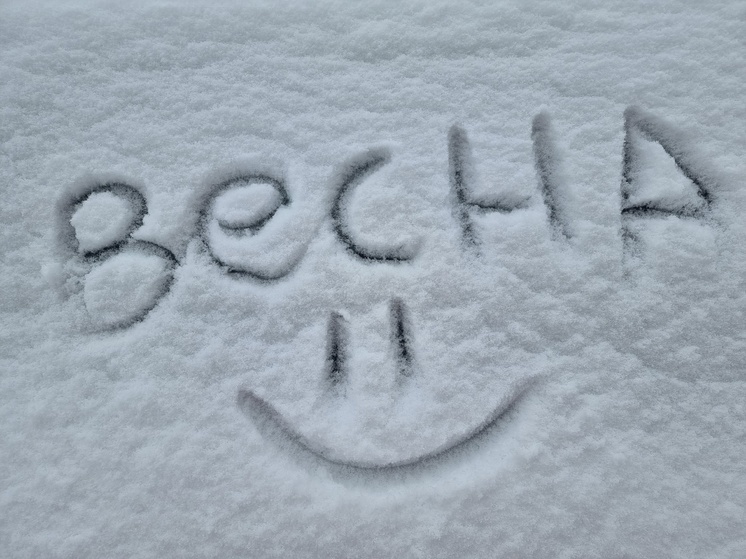До двадцати сантиметров снега выпадет в Петрозаводске в ближайшее время