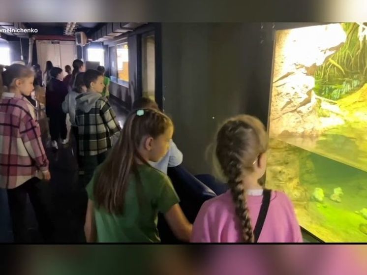 Белгородские школьники посетили пензенский океанариум