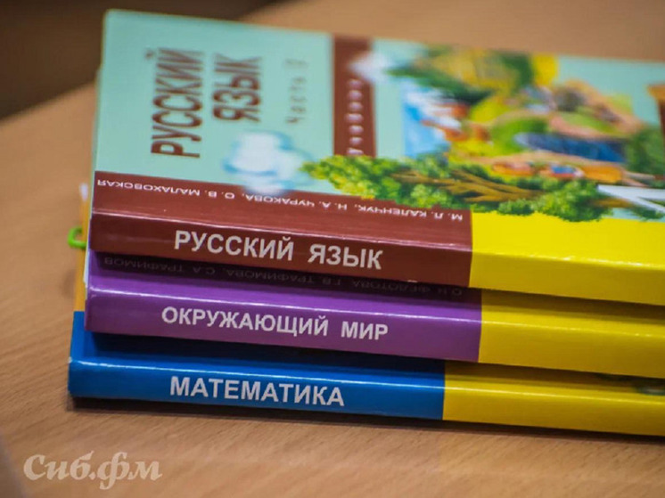 В Новосибирске назвали топ-6 школ с самым большим количеством первоклассников