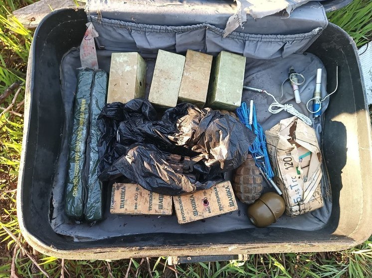 В Запорожской области найден чемодан со взрывчаткой