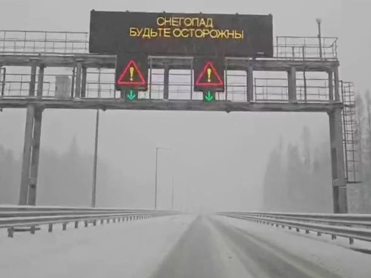 Из-за непогоды скорость на автодороге Петербург-Москва снижена
