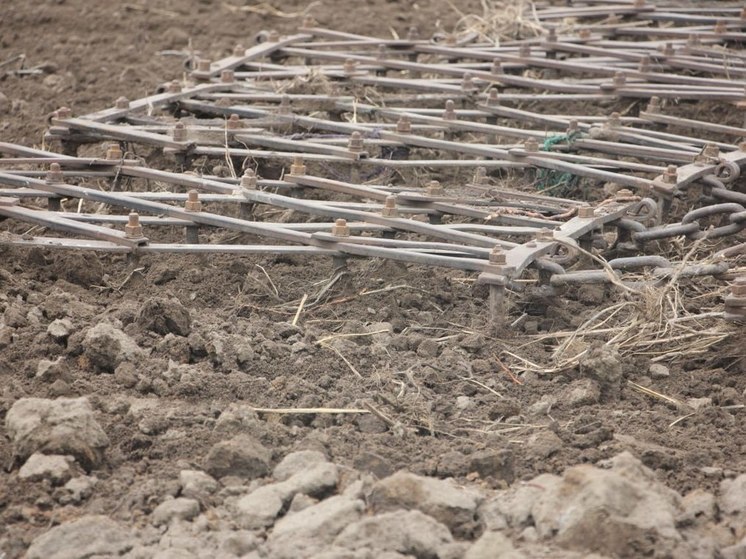 Весенние полевые работы начались в полях Тюменской области