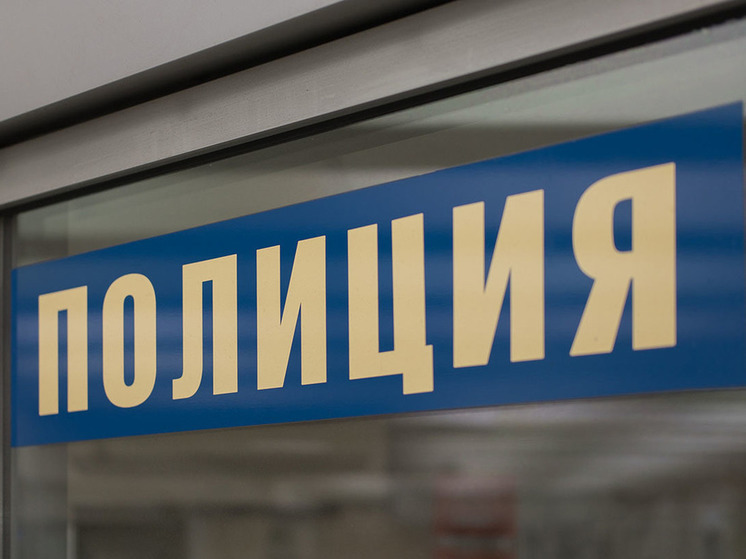 Москвич напал на следователя, пришедшего обыскивать квартиру его отца